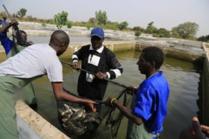 Projet d’Entreprenariat des Jeunes cibles de 14 à 24 ans dans les régions de Thiés, Dakar, Kaolack de Plan Sénégal en partenariat avec Plan Suède 2012
